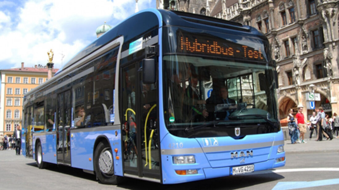 50 Hybridbusse