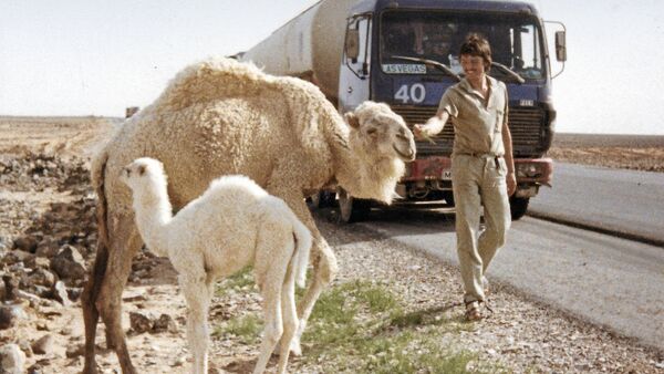 Abenteuer-Glücksritter