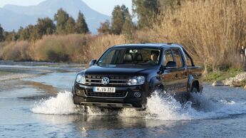 Amarok