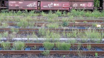 Bahn