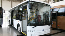 Busmodelle von Temsa, Low Entry Variante
