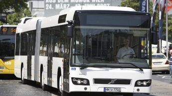 Busunternehmer mit gedämpften Erwartungen