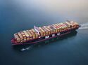 Containerschiff MSC