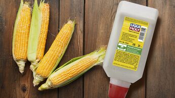 Corn