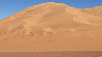 DAKAR 2010