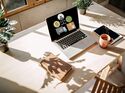 Disponent im Homeoffice