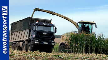 Ein Maishäcksler lädt während der Ernte gehäckselten Mais über ein Auswurfrohr in einen Iveco-Lkw auf dem Feld. Die landwirtschaftlichen Maschinen arbeiten im Ernteeinsatz, links im Bild ist das eurotransportTV-Logo zu sehen.