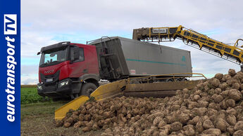 Ein roter Iveco X-Way wird beim Entladen von Zuckerrüben neben einer Ropa-Erntemaschine gefilmt; links im Bild ist das eurotransportTV-Logo sichtbar.