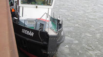Elbekanal, Eisbrecher, Eisbär