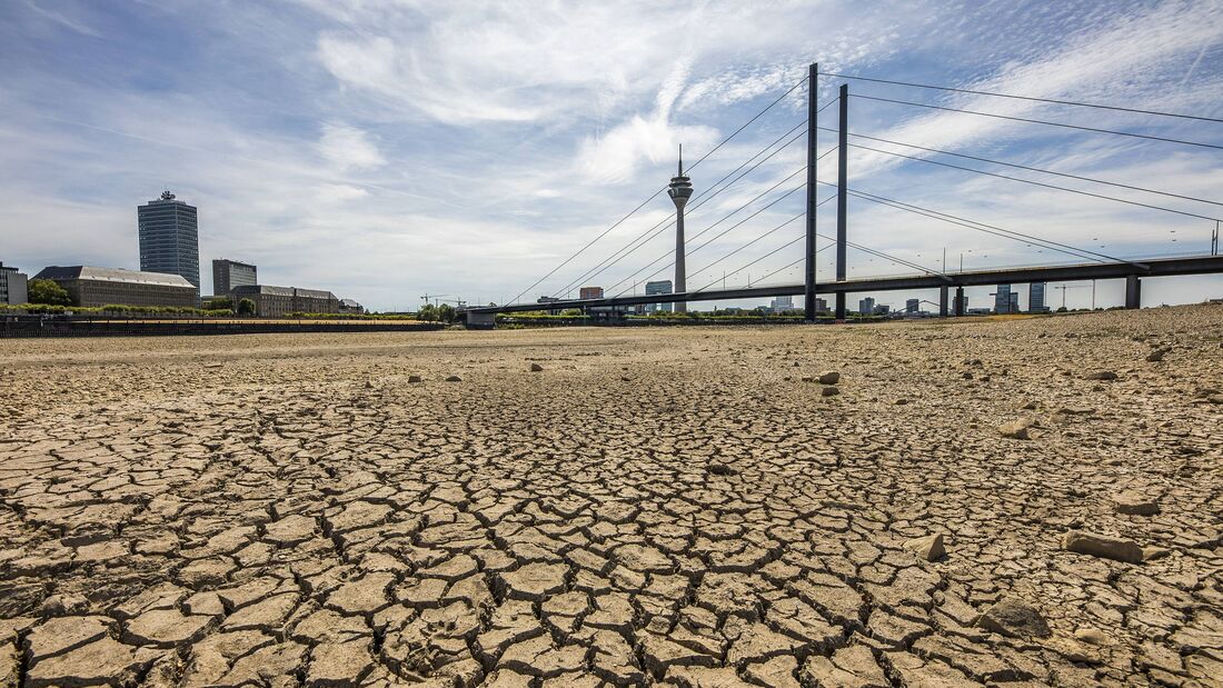 Extremes Niedrigwasser am Rhein bei Düsseldorf