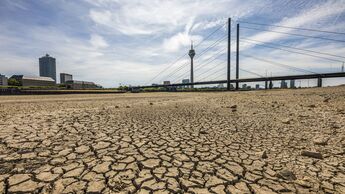 Extremes Niedrigwasser am Rhein bei Düsseldorf