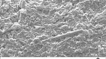 Federal-Mogul Microsection EcoTough