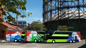 Fernbusse
