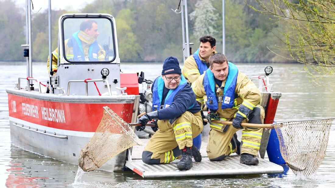 Fischsterben in der Schozach