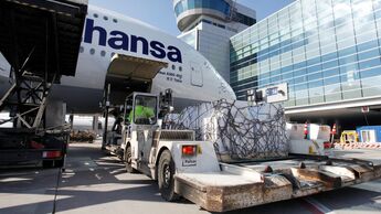 Fraport verladung einer Palette