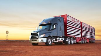 Freightliner Cascadia für Australien
