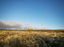 Für den Logistikdienstleister DHL werden Windparks zum Dauergeschäft.