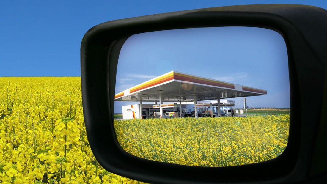 Gute Perspektiven fr Biodiesel