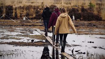 Hellmann helps unterstützt mit „Mission to Marsh“ ein Projekt zur Renaturierung von Mooren