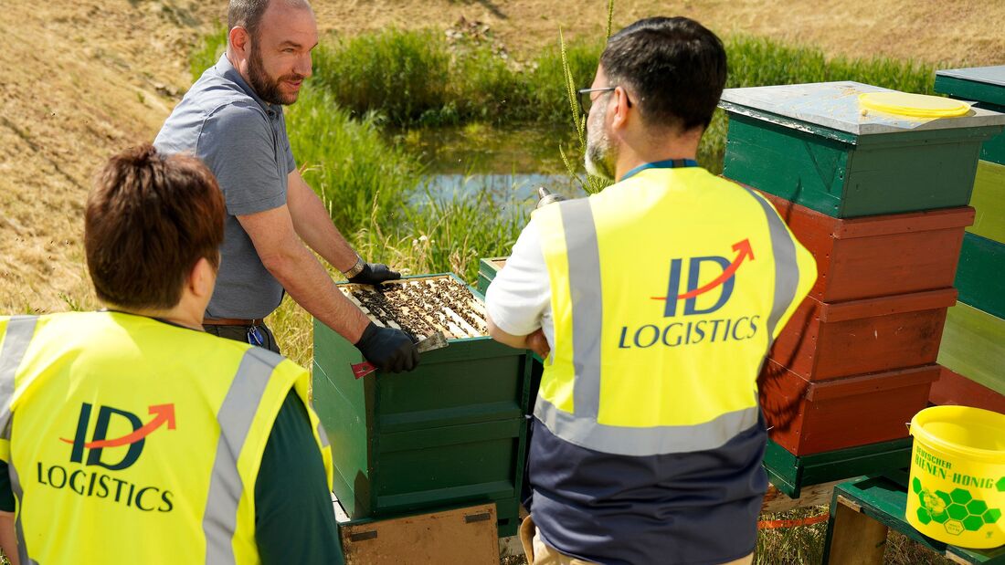 Honigbienen bei ID Logistics Germany