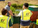 Honigbienen bei ID Logistics Germany