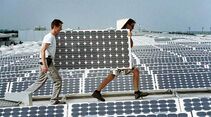 Honold Logistik, Grüne Logistik, Solar, Photovoltaik, Messe München