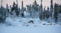 Jobs - Tibbit to Contwoyto