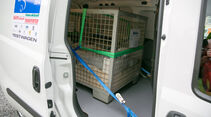 KEP Transporter des Jahres