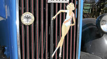 Klassiker im Alltagseinsatz, Opel Blitz