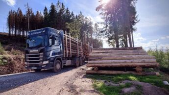 Kleinheinz Transport & Logistik, Christian Kleinheinz, Allgäu, Rundholz