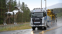 Lang Lkw