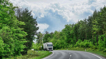 Lkw auf Landstraße im Wald