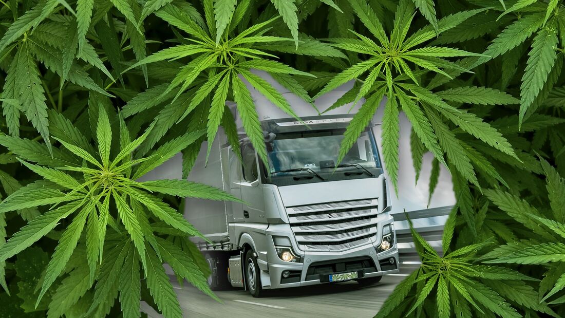 Lkw und Cannabis