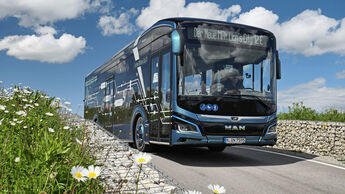 MAN Lion's City 12 E Elektrobus Stadtbus elektrisch 2021