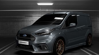 MS-RT Ford Transit Connect