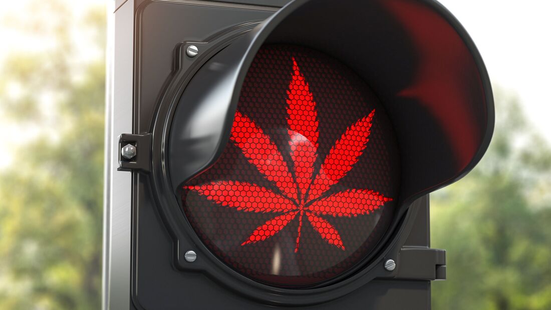 NUR ZUM EINMALIGEN GEBRAUCH. Prohibition, Cannabis, verboten, Ganja, Ampel, Blatt, Erlaubnis, Rotlicht, verbieten, Rot, Droge, Hanf, Stop, Unkraut, Warnung, Pflanze, Gras, Grün, Kraut, Stoff, Sucht, Vorsicht, isoliert, Betäubungsmittel, tabu, untersagt,