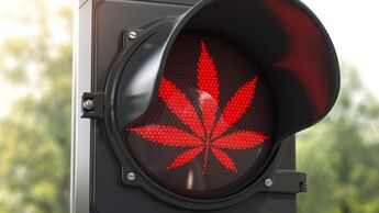 NUR ZUM EINMALIGEN GEBRAUCH. Prohibition, Cannabis, verboten, Ganja, Ampel, Blatt, Erlaubnis, Rotlicht, verbieten, Rot, Droge, Hanf, Stop, Unkraut, Warnung, Pflanze, Gras, Grün, Kraut, Stoff, Sucht, Vorsicht, isoliert, Betäubungsmittel, tabu, untersagt,
