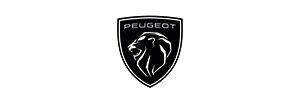 Peugeot Professional