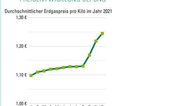Preisentwicklung bei LNG
