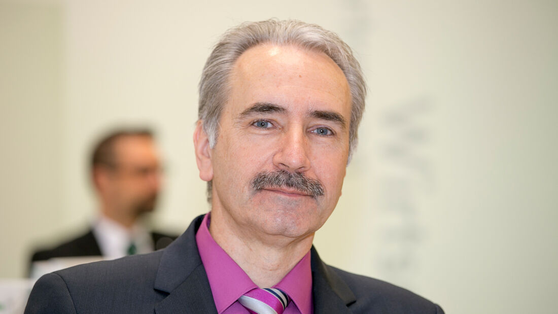 Professor Heinz-Leo Dudek