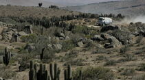 Rallye Dakar 2010