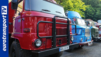 Reihe liebevoll restaurierter Lkw-Oldtimer beim Truckertreffen in Plauen, fotografiert vor grünem Hintergrund. Links im Bild das eurotransportTV Logo in Blau als vertikale Leiste.
