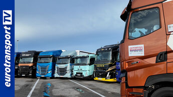 Reihe moderner Lkw verschiedener Marken auf dem Gelände von BFS Kirchberg an der Jagst beim FERNFAHRER Test Drive 2025, rechts ein brauner Renault Truck mit sichtbarem Logo 'FERNFAHRER Test Drive 2025'; links im Bild das eurotransportTV-Logo.