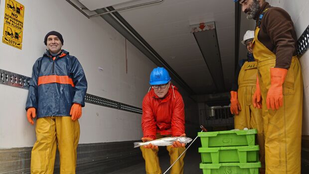 Report Reportage Irland Fischtransport