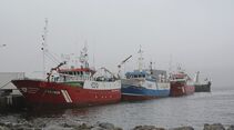 Report Reportage Irland Fischtransport
