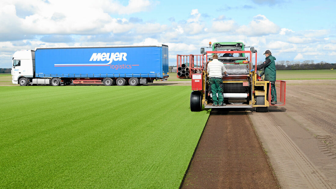 Rollrasen, Meyer Logistk, Fußball