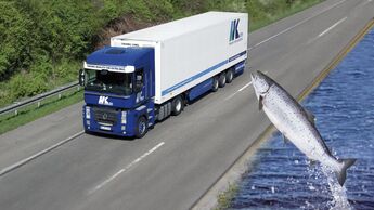 STI Freight Management, Fisch, Logistik