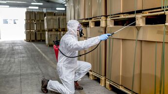 Schädlingsbekämpfung