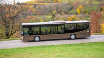 Setra Multi-Class LE business, Seite