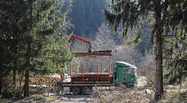 Starker Typ FF 7/2022, Tatra Phoenix, Holztransport